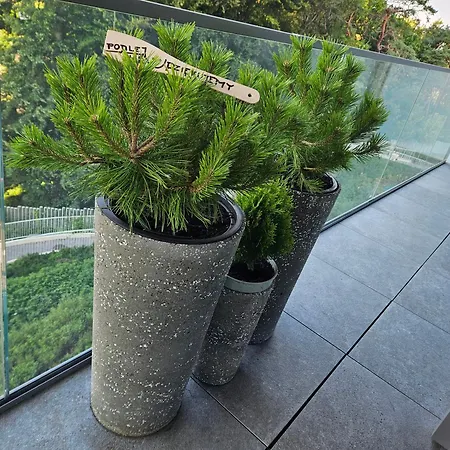 Wave Slonce Toskanii Daire *